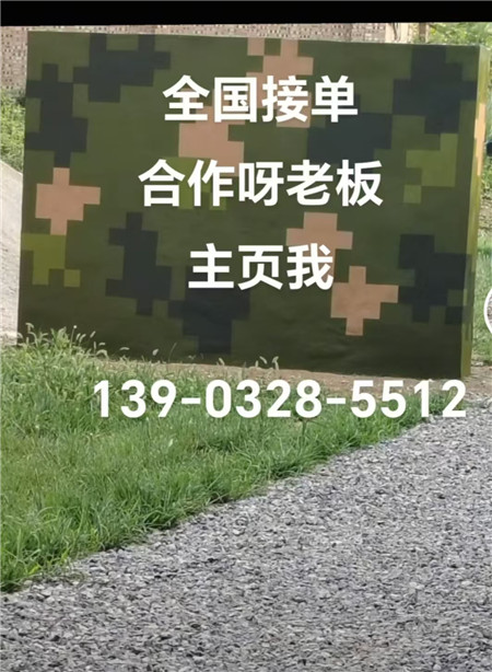 專(zhuān)業(yè)迷彩漆施工：圍墻防護(hù)數(shù)碼漆